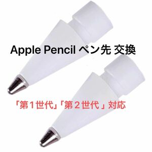 Apple Pencil ペン先 交換 金属 2個入り (太い)