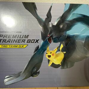 新品未開封　ポケモンカード　プレミアムトレーナーボックス TAG TEAM GX　未開封　BOX　サン＆ムーン　タッグボルト