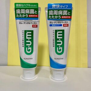 【ガム デンタルペースト 薬用 120g×2本 】　歯磨き粉 GUM サンスター