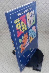 河出書房新社　ヤ０５パ大形　頭脳迷路-君はどこまで進化する！！　みぞろぎ孝・迷路の世界