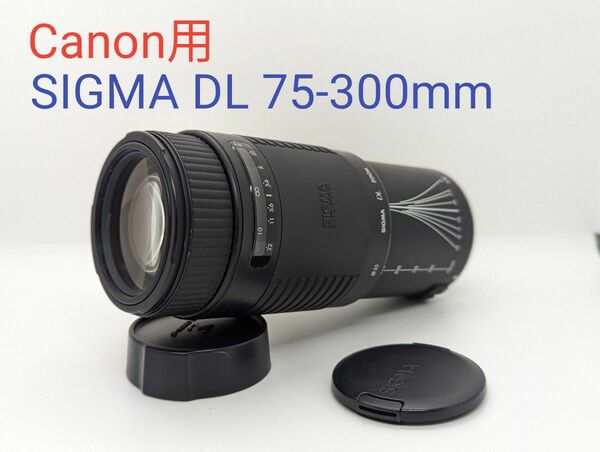 5月22日限定価格♪【超望遠レンズ】SIGMA DL 75-300mm
