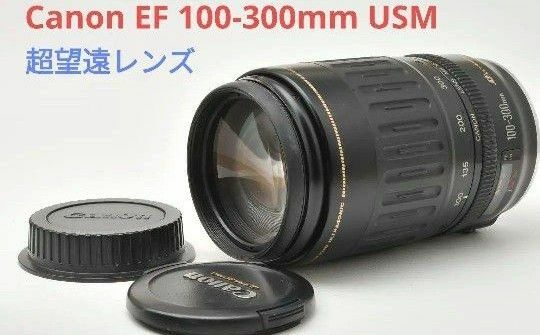 大迫力望遠レンズ♪Canon EF 100-300mm F4.5-5.6