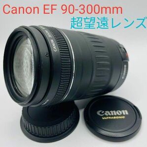 5月28日限定価格♪【超望遠レンズ】Canon EF 90-300mm