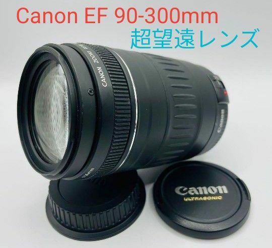 5月30日限定価格♪【超望遠レンズ】Canon EF 90-300mm