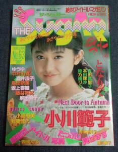 ★送料無料　ザ・シュガー　1988年12月号　小川範子/西田ひかる/伊藤友美/深津絵里/花藤江里子/広瀬未希/セクシーアクション系投稿