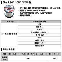 ダイワ(DAIWA) フロロライン ジャストロン フロロ 0.6号 300m ナチュラル_画像3