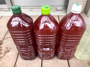 P8L　PSB(光合成細菌) 　8L（8000ｍｌ）　自家製　　メダカの稚魚などに　ゆうパックおてがる版 BB