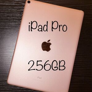 iPad Pro 10.5 インチ 256GB ローズゴールド Wi-Fi