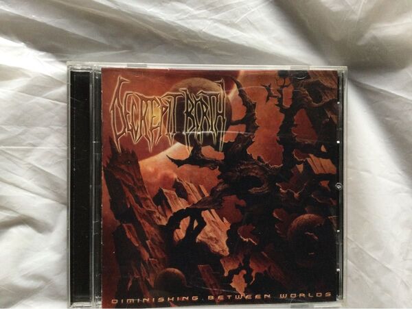 Decrepit Birth Diminishing Between Worlds デスメタル