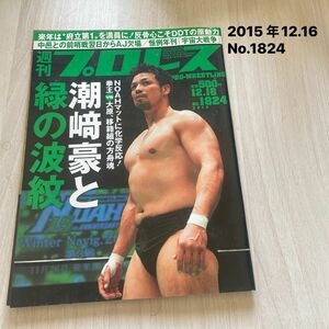 週刊プロレス2015 年12.16 No.1824 プロレス 週プロ 潮崎豪と緑の波紋