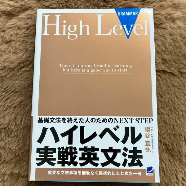 ハイレベル実戦英文法　基礎文法を終えた人のためのＮＥＸＴ　ＳＴＥＰ　重要な文法事項を無駄なく系統的にまとめた一冊 猿谷宣弘／著