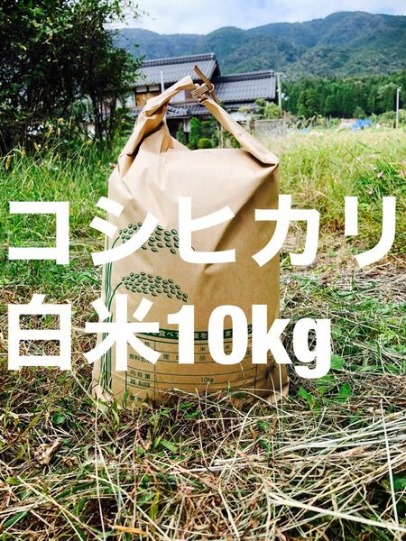 滋賀産コシヒカリ令和5年白米10kg 送料出品者負担