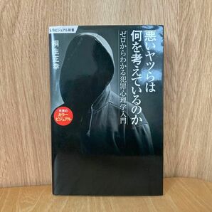 悪いヤツらは何を考えているのか　ゼロからわかる犯罪心理学入門 （ＳＢビジュアル新書　００１８） 桐生正幸／著