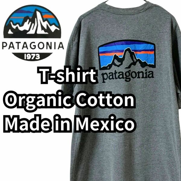 パタゴニア　オーガニックコットン　メキシコ製　Tシャツ　プリント　ユニセックスM