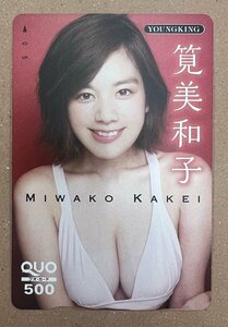 筧美和子　クオカード　500円②　ヤングキング