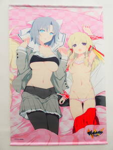 Jk7/PS4 Senran Kagura ESTIVAL VERSUS- young lady .. selection - limitation version Sofmap buy privilege snow Izumi &. manner ... under ..B2 tapestry 