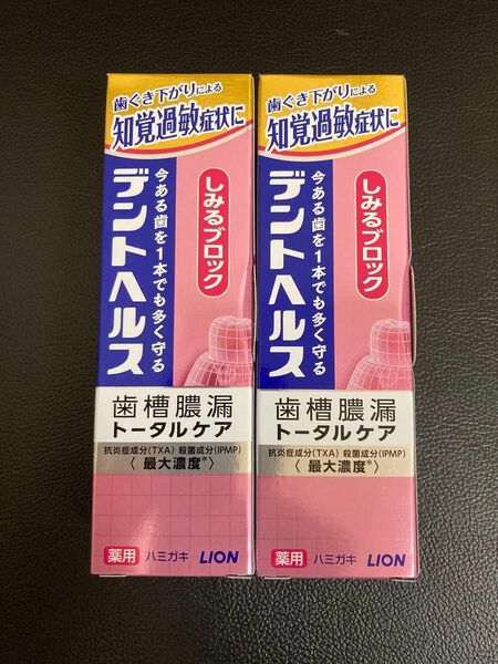 2個 ライオン デントヘルス しみるブロック 85g 歯槽膿漏トータルケア 歯磨き粉