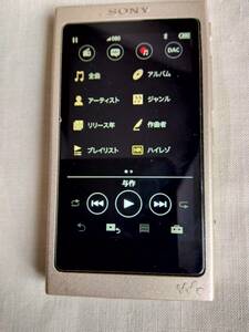 動作品　SONY WALKMAN NW-A45　ペールゴールド　美品