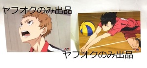 ハイキュー!! Haikyu ジャンプショップ JUMPSHOP ステッカーくじ 夜久衛輔 黒尾鉄朗 検）シール