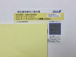 ANA 株主優待券1枚 2024年11月30日まで全日空