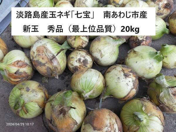 淡路島ブランド　新玉（南あわじ市産）「七宝」２０ＫＧ（Ｌ玉中心にＭ玉、S玉も少し入ります）　収穫即出荷