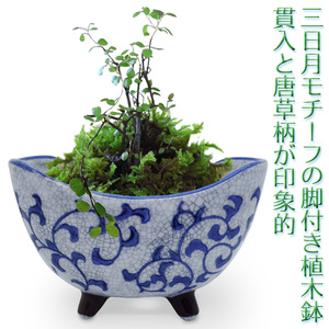 植木鉢 陶器 三日月 脚付き 和風 おしゃれ(唐草 貫入)山野草 苔玉 多肉植物 サボテン 盆栽 ハーブ 底穴あり