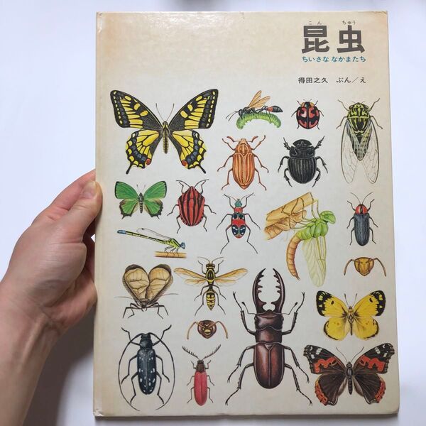 昆虫 ちいさななかまたち 得田之久 福音館書店