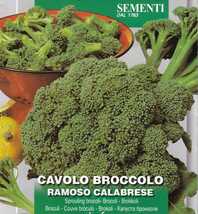 ブロッコリーの種 30粒 カラブリーゼ RAMOSO CALABRESE 早生種 固定種_画像1
