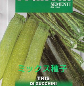 ズッキーニ(3種類mix)の種子 6粒 DI ZUCCHINI【2025.06】固定種 色や模様が様々なズッキーニのミックス種子！ 3色ミックス