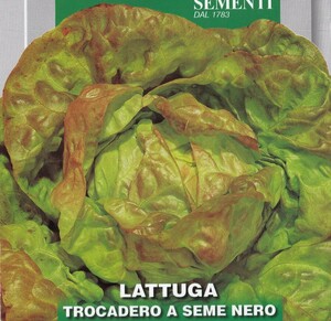  lettuce * Toro katero. семена 100 шарик TROCADERO A SEME NERO[2024.6] красный ..... салат . серия lettuce фиксация вид 