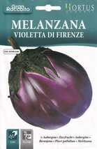 ナス フィレンツェの種子 8粒 FIRENZE トロトロ茄子 丸なす イタリアンナス 固定種_画像2