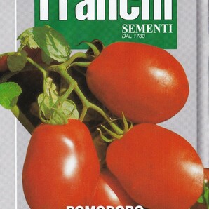 調理用トマト・リオグランデの種子 6粒 RIO GRANDE 固定種 洋梨のような形のトマト 支柱がいらないタイプ！ トマトソースなどに…の画像2