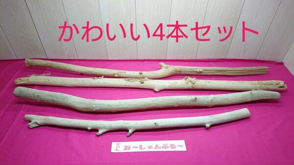 流木セットno.89