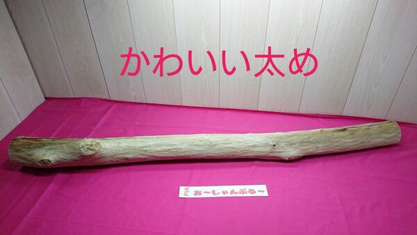 流木no.107
