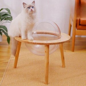  for pets bed transparent space ship height quality material dressing up feeling four season circulation cat bed cat dome space ship Capsule cat house 