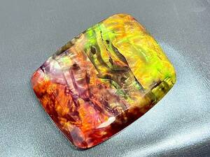 【鑑別書付き】アンモライト Ammolite 76.80Ct オパール化 原石 化石 宝石 ルース 菊石 天然