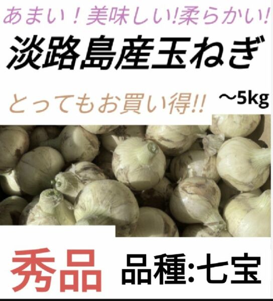 【サイズ大きめ】　農家直送　淡路島　玉ねぎ　七宝　5kg（箱込）