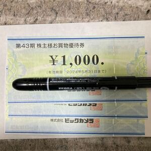 ビックカメラ株主優待3000円 有効期限24年5月末