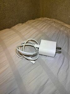 Apple 純正 20W USB-C ACアダプター 充電器 iphone ipad 純正TypeC-Lightningケーブル付