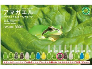 アマガエル マグネット &ボールチェーン カエル ガチャガチャ c