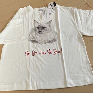 新品　コーエン　coen 猫プリント半袖 Tシャツ オーバーサイズ　M L オフホワイト　レッド　ロゴTシャツ　オフホワイト　ネコ