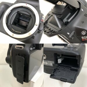 CANON キヤノン デジタル一眼レフカメラ EOS Kiss X7 ボディ ＋ EF-S55-250mm F4-5.6 IS II レンズ 240430RM490668の画像7