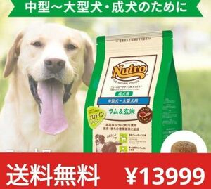 ニュートロナチュラルチョイスラム＆玄米中型犬大型犬成犬用 17.5kg