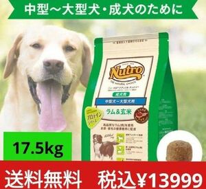 ニュートロナチュラルチョイス ラム＆玄米 中型犬 大型犬 成犬用 17.5kg