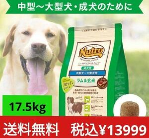 ニュートロナチュラルチョイス ラム＆玄米 中型犬 大型犬 成犬用 17.5kg