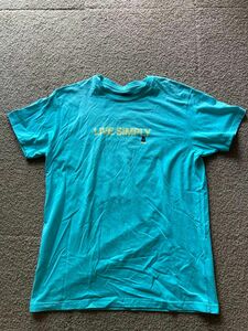 パタゴニア patagonia tシャツ サイズmen'sL