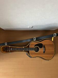  Hamming bird custom acoustic guitar W-500