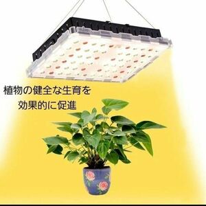 植物育成ライト LED フルスペクトル 4000K 植物用 栽培 カラビナ付き