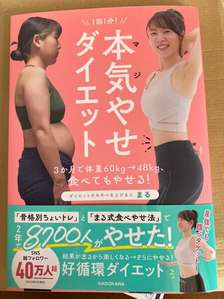 本気やせダイエット 美くびれデザイン まる 著