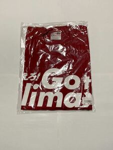 送料無料 東北楽天ゴールデンイーグルス Tシャツ L 即決 半袖 シャツ Go to Climax 2009